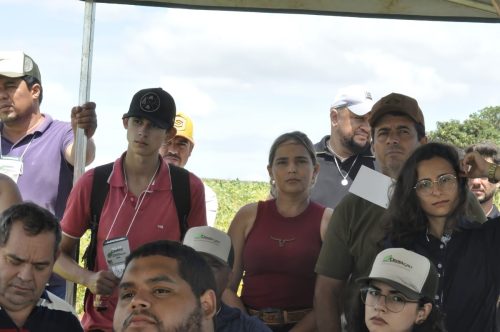 JERIQUARA-DEDEAGRO-129