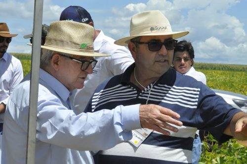 JERIQUARA-DEDEAGRO-130