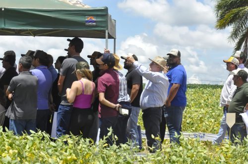 JERIQUARA-DEDEAGRO-136