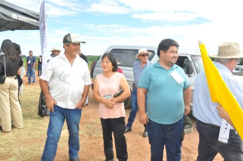 JERIQUARA-DEDEAGRO-175