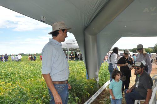 JERIQUARA-DEDEAGRO-176