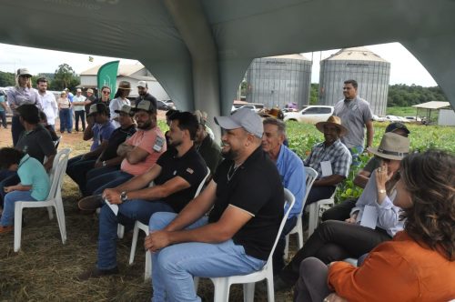 JERIQUARA-DEDEAGRO-177