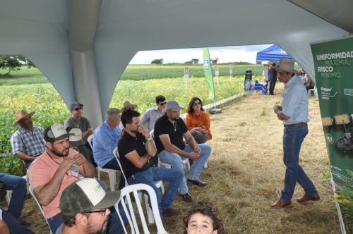 JERIQUARA-DEDEAGRO-179