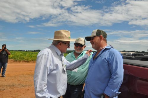 JERIQUARA-DEDEAGRO-188