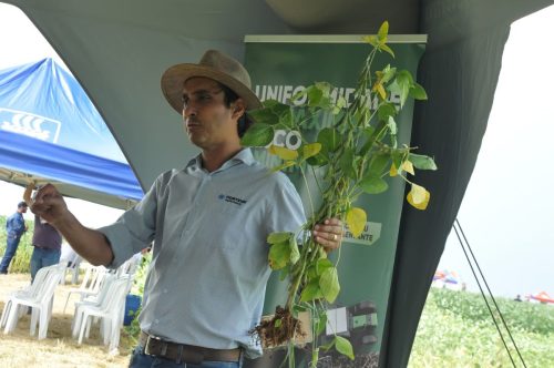 JERIQUARA-DEDEAGRO-190