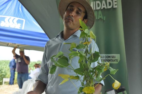 JERIQUARA-DEDEAGRO-191