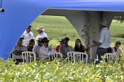 JERIQUARA-DEDEAGRO-2