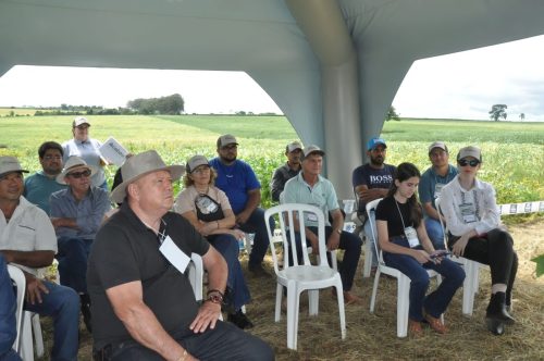 JERIQUARA-DEDEAGRO-203