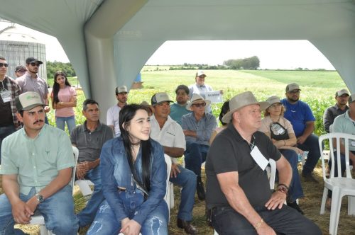 JERIQUARA-DEDEAGRO-204