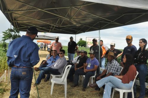 JERIQUARA-DEDEAGRO-208