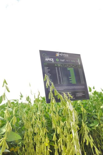 JERIQUARA-DEDEAGRO-209