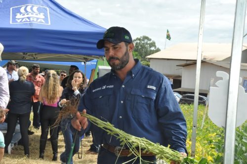 JERIQUARA-DEDEAGRO-211