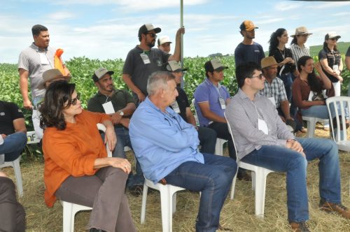 JERIQUARA-DEDEAGRO-212