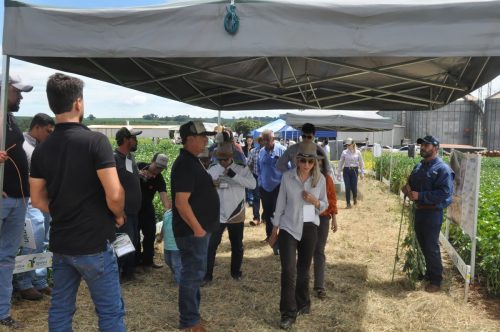 JERIQUARA-DEDEAGRO-215