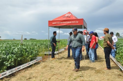 JERIQUARA-DEDEAGRO-217