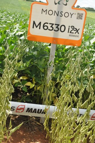 JERIQUARA-DEDEAGRO-223