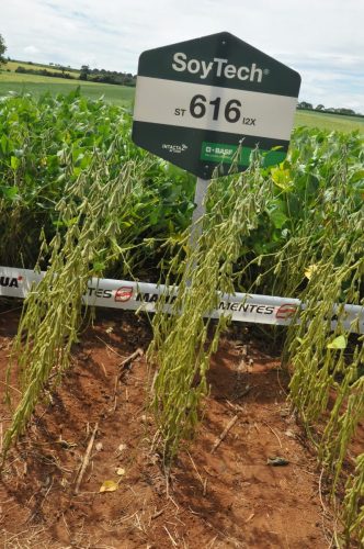 JERIQUARA-DEDEAGRO-224