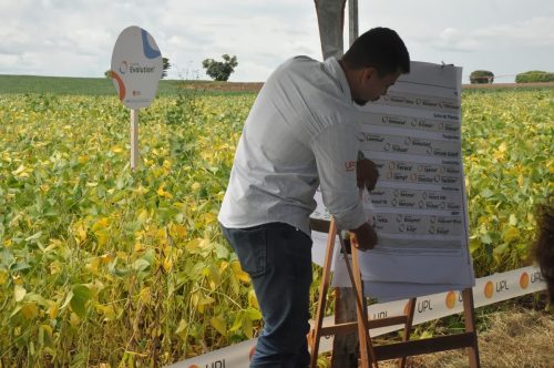 JERIQUARA-DEDEAGRO-231