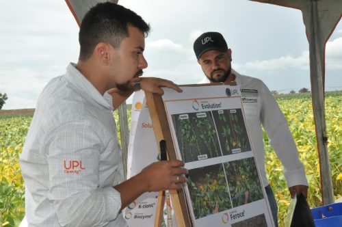 JERIQUARA-DEDEAGRO-232