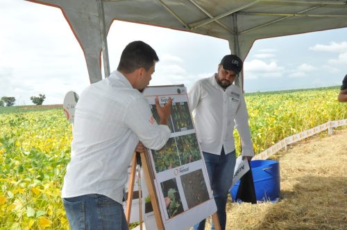 JERIQUARA-DEDEAGRO-233