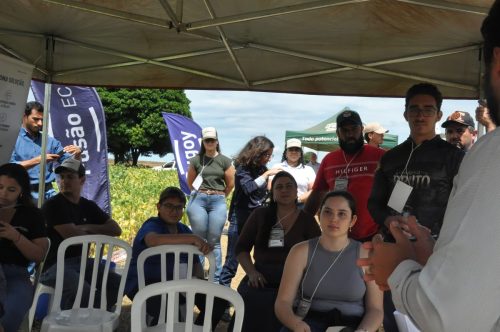 JERIQUARA-DEDEAGRO-240