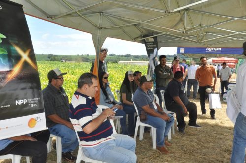 JERIQUARA-DEDEAGRO-241