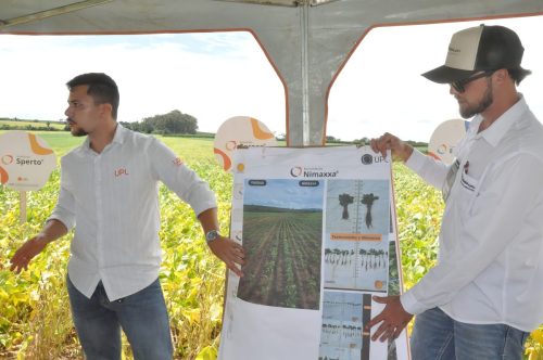 JERIQUARA-DEDEAGRO-243