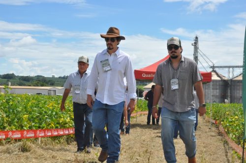 JERIQUARA-DEDEAGRO-247