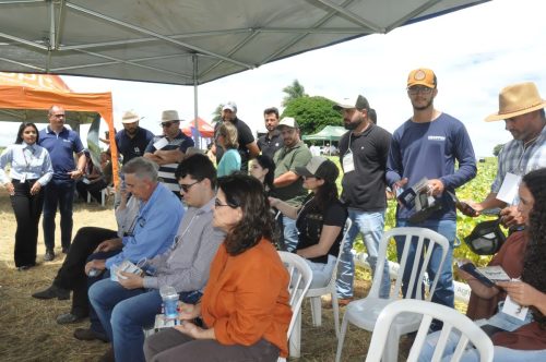 JERIQUARA-DEDEAGRO-249