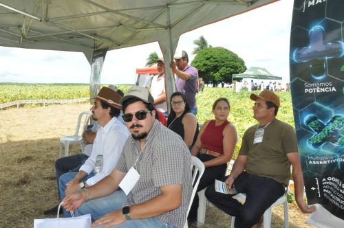 JERIQUARA-DEDEAGRO-250