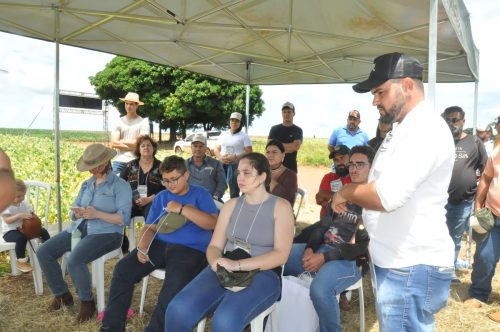 JERIQUARA-DEDEAGRO-252