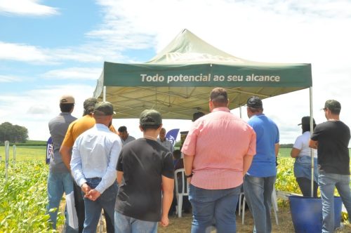 JERIQUARA-DEDEAGRO-256