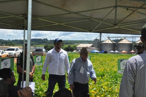 JERIQUARA-DEDEAGRO-263