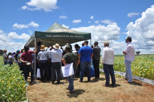 JERIQUARA-DEDEAGRO-274