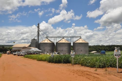 JERIQUARA-DEDEAGRO-286