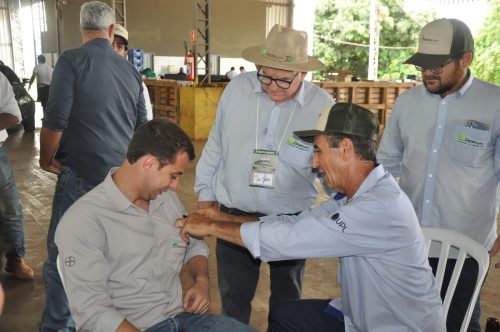 JERIQUARA-DEDEAGRO-356