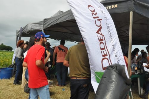 JERIQUARA-DEDEAGRO-383