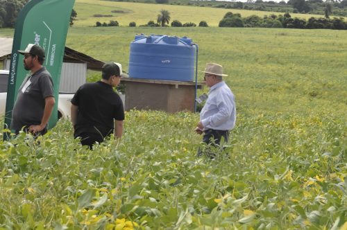 JERIQUARA-DEDEAGRO-4