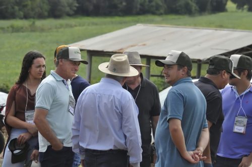 JERIQUARA-DEDEAGRO-6