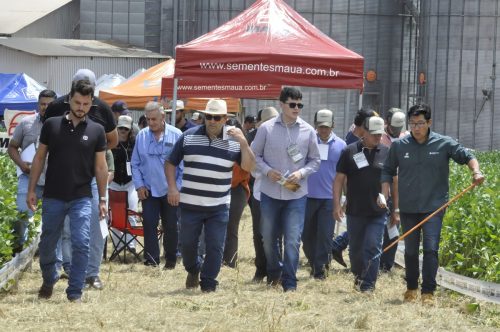 JERIQUARA-DEDEAGRO-88