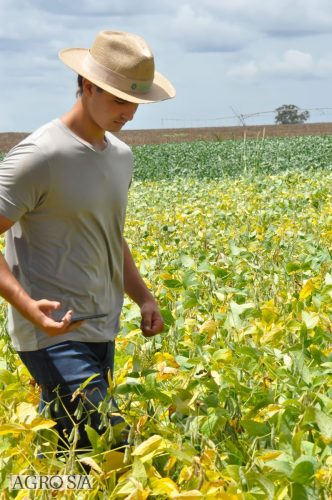 JERIQUARA-DEDEAGRO-104