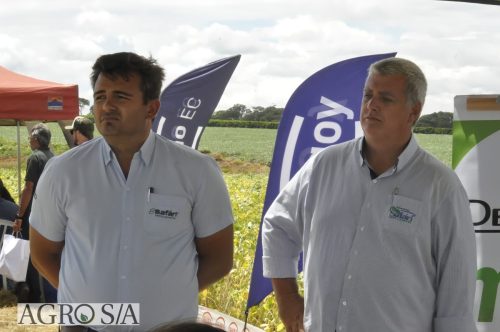 JERIQUARA-DEDEAGRO-105