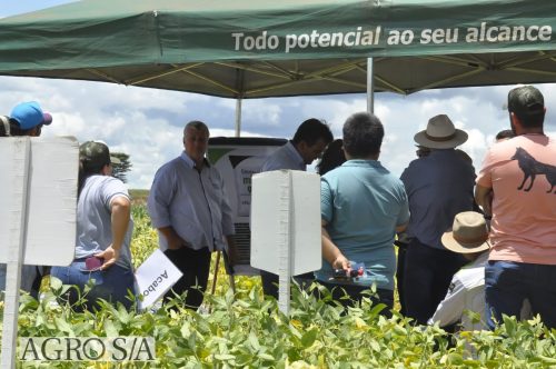 JERIQUARA-DEDEAGRO-135