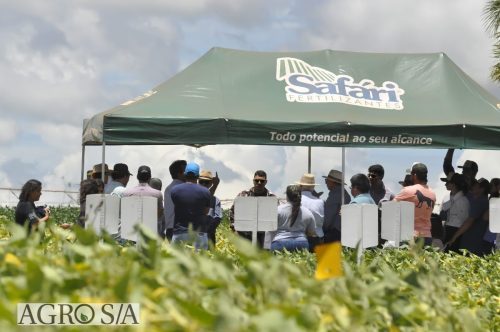 JERIQUARA-DEDEAGRO-140