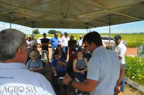 JERIQUARA-DEDEAGRO-251