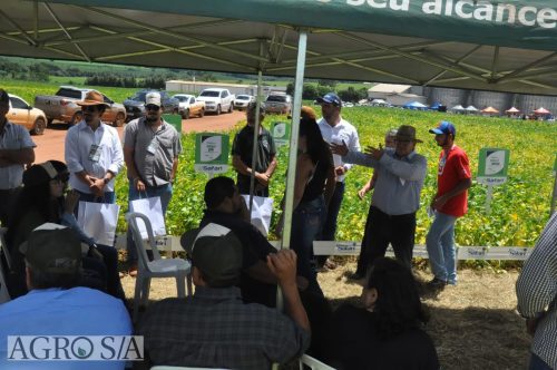 JERIQUARA-DEDEAGRO-262