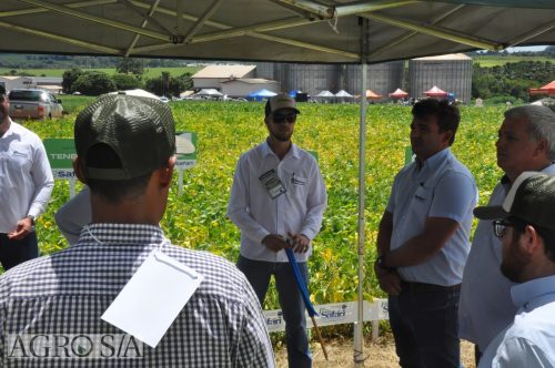 JERIQUARA-DEDEAGRO-264