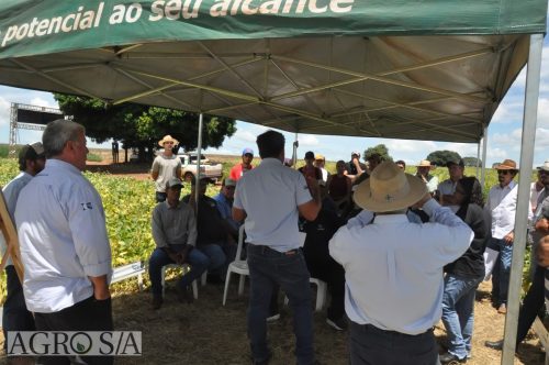 JERIQUARA-DEDEAGRO-266