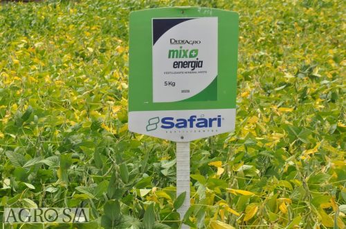 JERIQUARA-DEDEAGRO-279