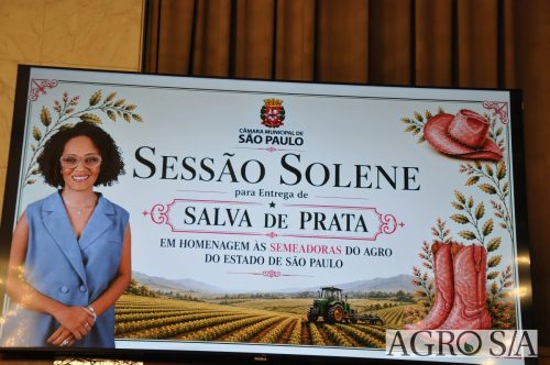 JULIANA-SALVA-DE-PRATA-117